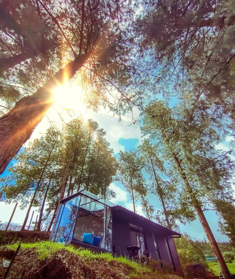 Cabanas De Lujo - Casa Barcelona Duitama Dış mekan fotoğraf